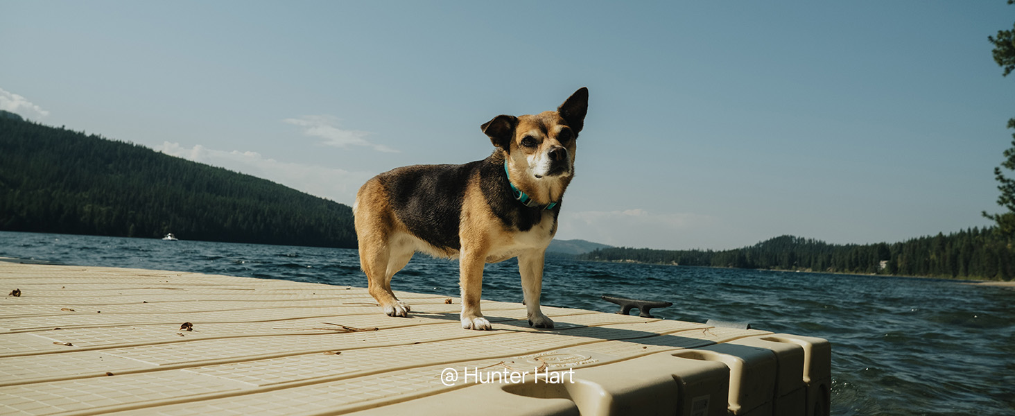 objectif grand angle