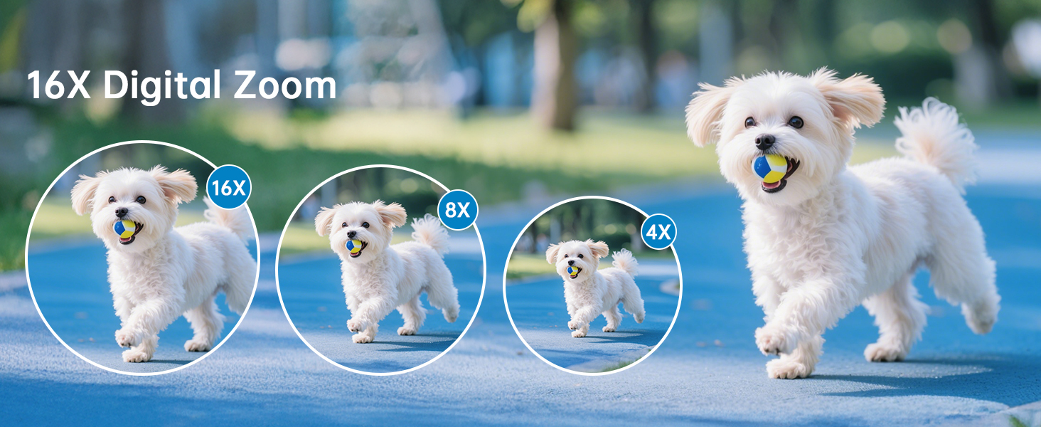 appareils photo pour la photographie