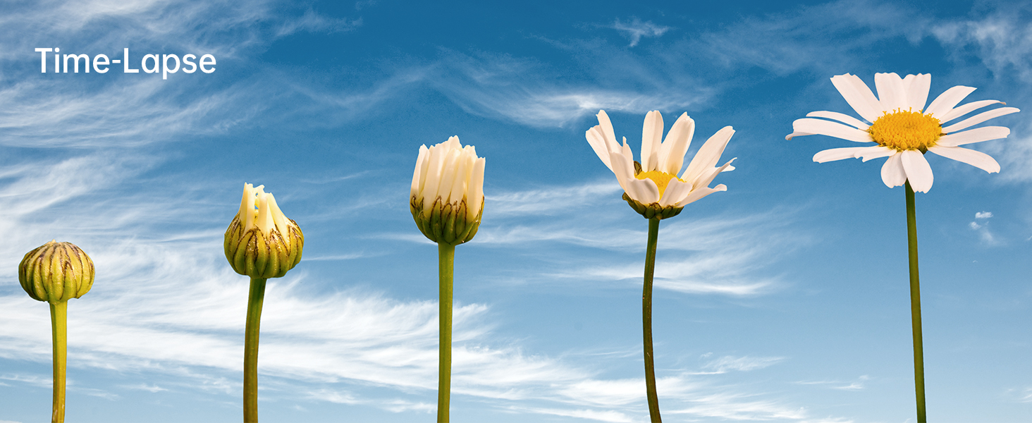 appareil photo compact