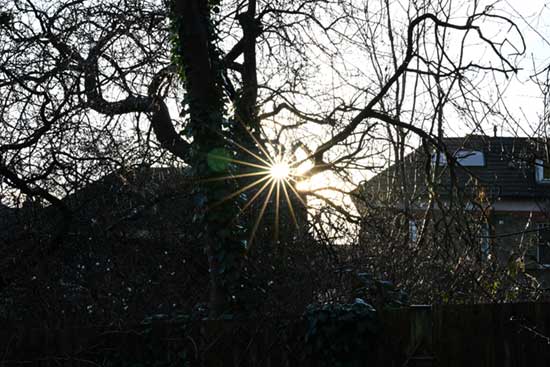 Canon RF 20mm F1.4L VCM