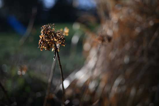 Viltrox AF 35mm F1.2 Laboratoire